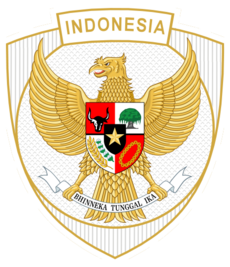 Timnas Indonesia Garuda Footbal team